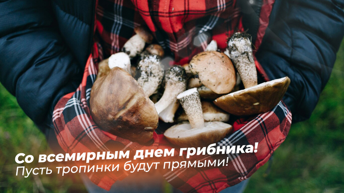День Грибника 3 Октября Картинки Поздравления