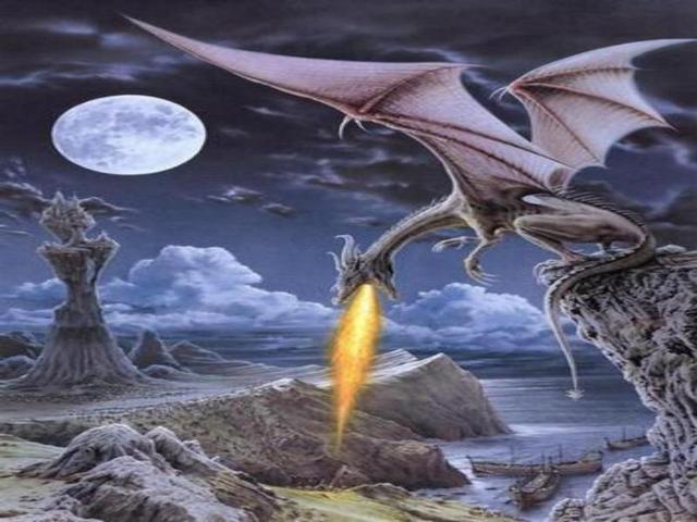 4743317_w_p_dragon_0121 (640x480, 46Kb)