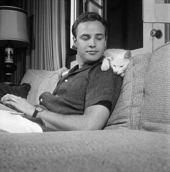 3109898_marlonbrando_1_ (550x555, 46Kb)