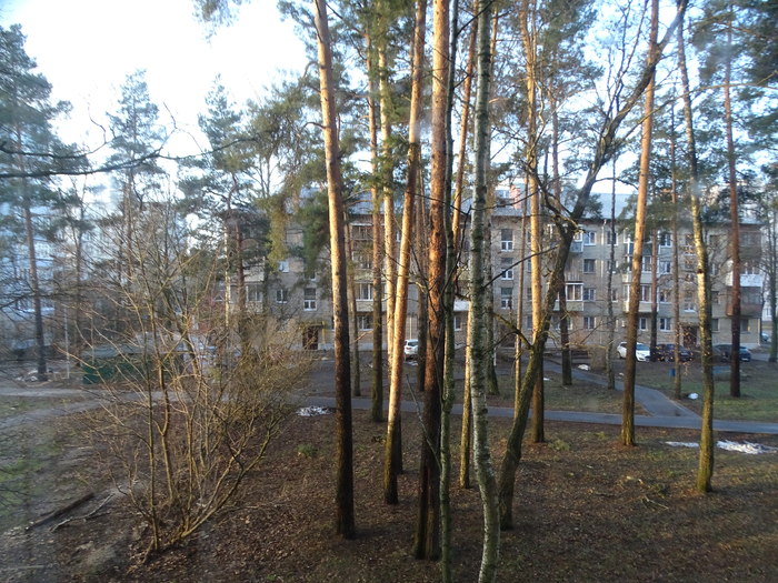 DSC00296 (700x525, 550Kb)