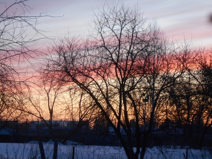 4533467_DSCN73311 (700x525, 341Kb)