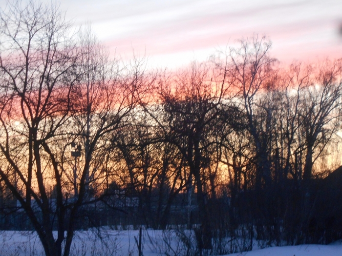 4533467_DSCN73331 (700x525, 311Kb)