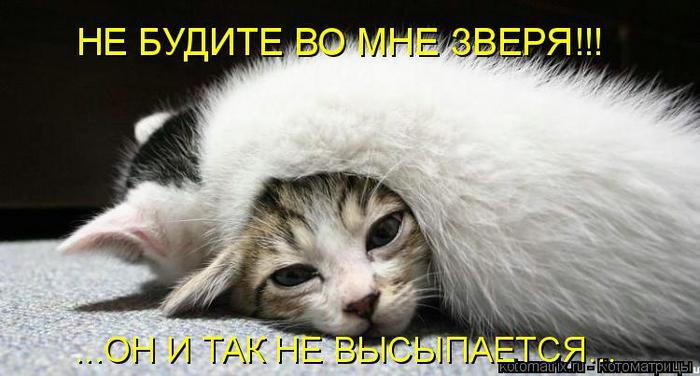 4743317_IF (700x376, 44Kb)