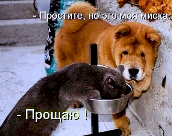 4743317_dd63badc (700x553, 98Kb)