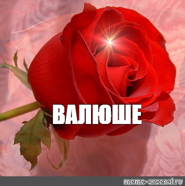ВАЛЮШЕ (382x384, 32Kb)