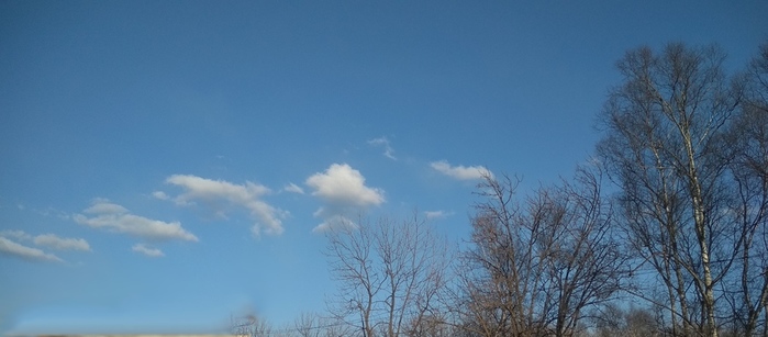 IMG_20250317_193133 (700x307, 83Kb)