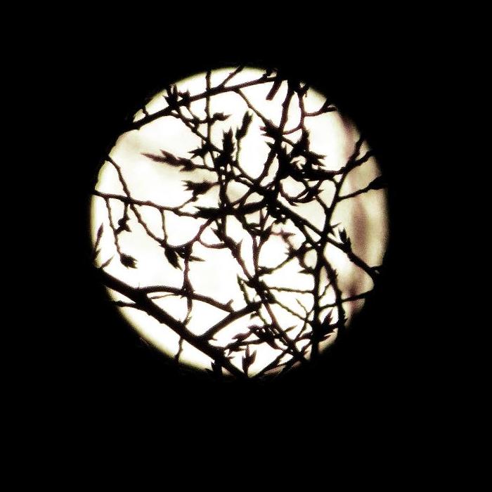 05 (700x700, 55Kb)