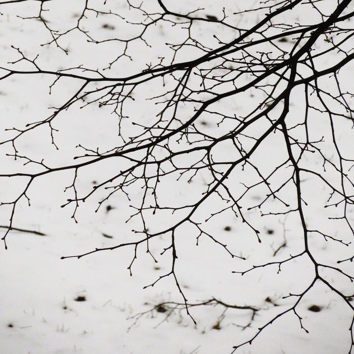 1 (700x700, 98Kb)