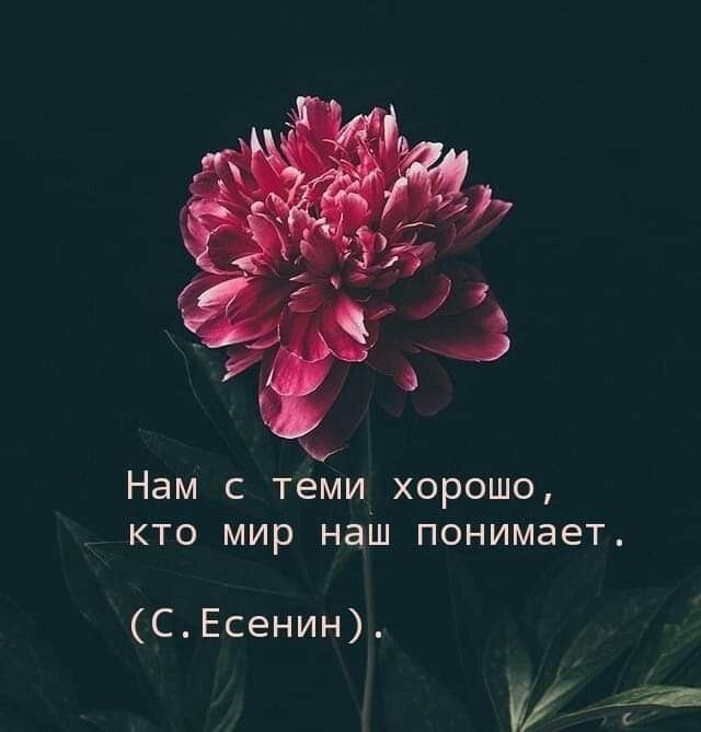 17094b34f6089e7fcdd325ed527c294f (640x669, 34Kb)