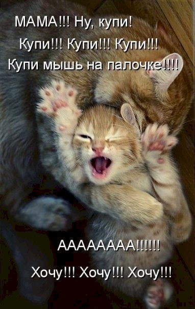 4743317_00005674 (382x605, 58Kb)