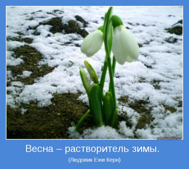 4743317_motivator33355 (644x575, 57Kb)