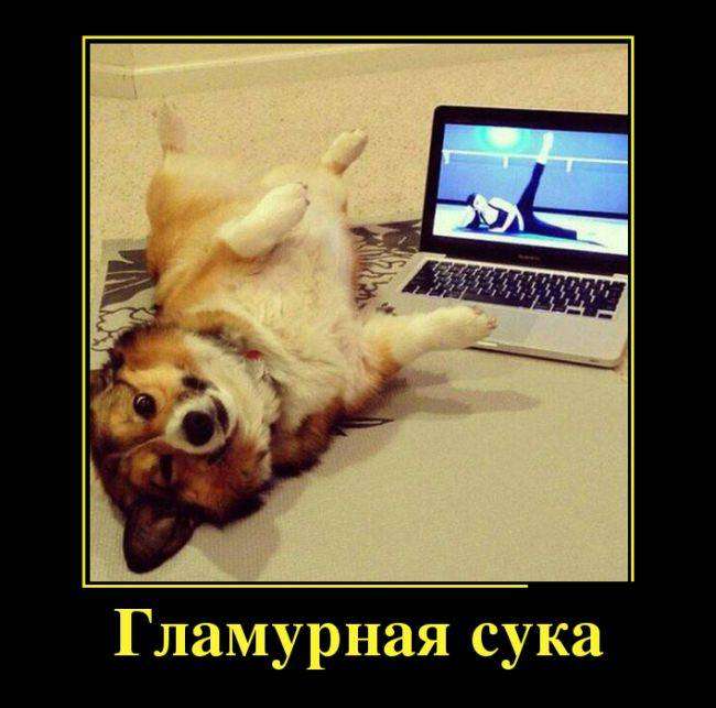 4743317_1442265243_14 (650x643, 43Kb)