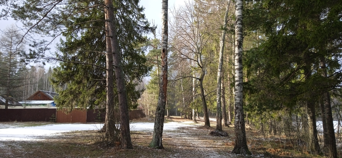1738837535241 (700x322, 311Kb)