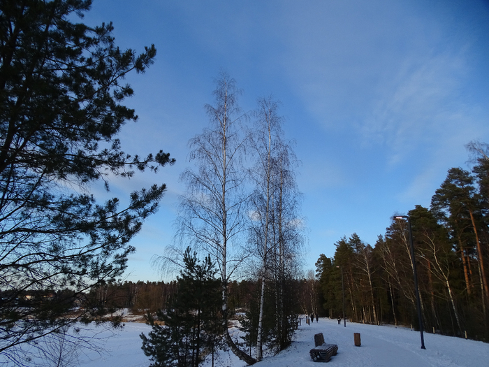 DSC00316 (700x525, 451Kb)