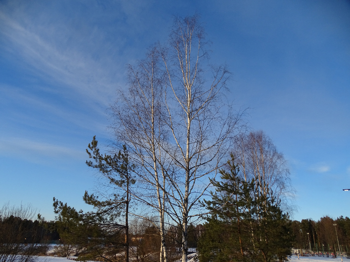 DSC00321 (700x525, 427Kb)