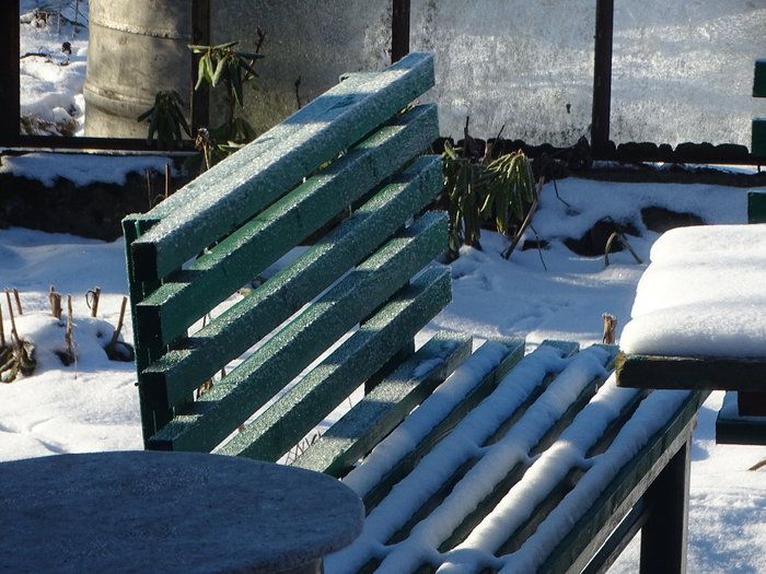 DSC00334 (700x525, 444Kb)