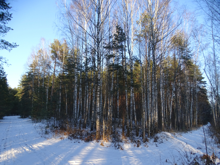 DSC00382 (700x525, 575Kb)