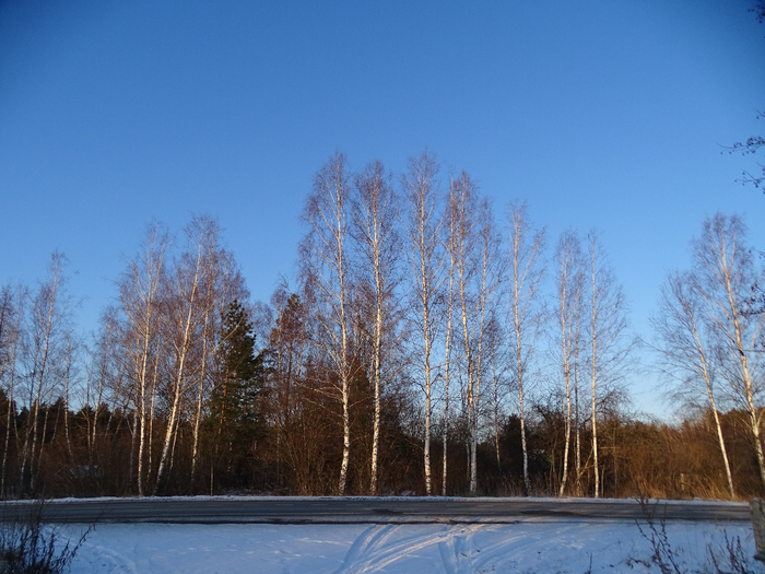 DSC00391 (700x525, 428Kb)