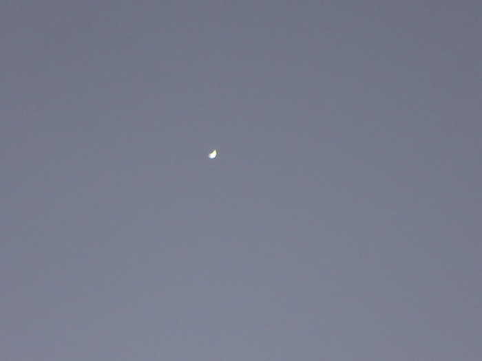 DSC00405 (700x525, 195Kb)