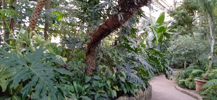 1740695062962 (700x322, 309Kb)