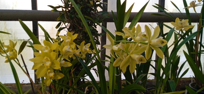 1740695060723 (700x322, 269Kb)
