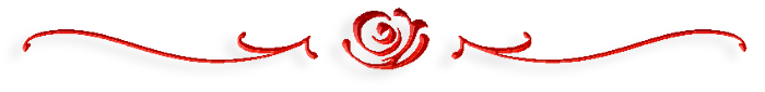 17 (700x85, 30Kb)