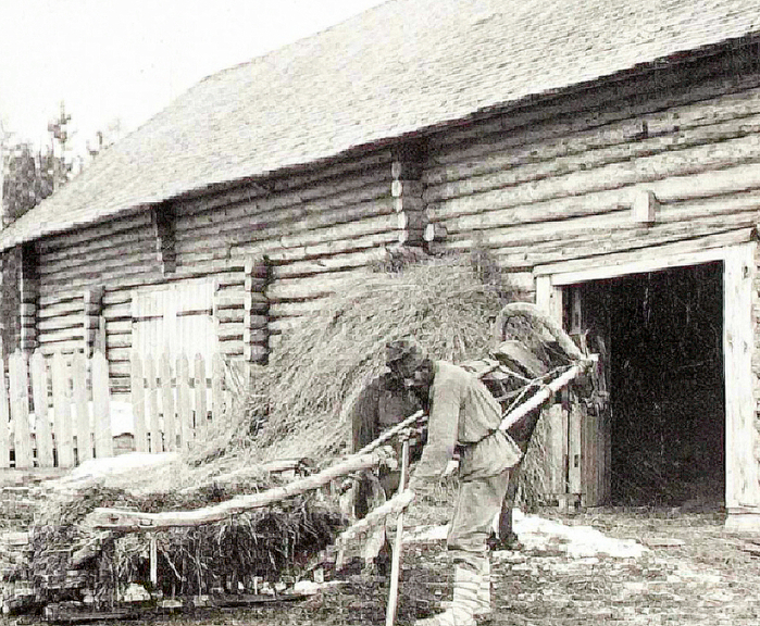  оссия Костромской крестьянин, 1895 год (700x576, 609Kb)