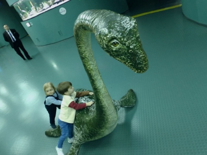 4752699_DSCN0571K2 (700x524, 84Kb)