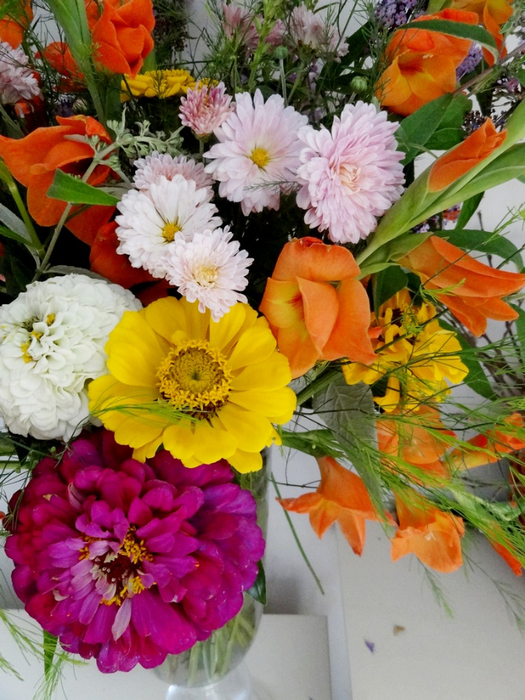 DSC02016 (525x700, 472Kb)