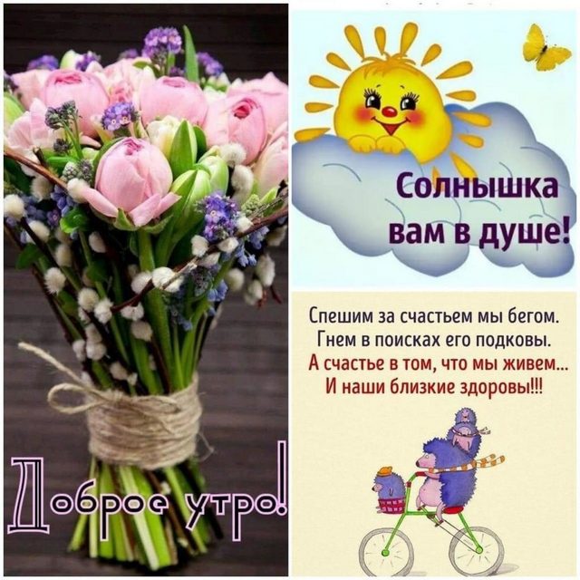 4743317_image20190925 (640x640, 81Kb)