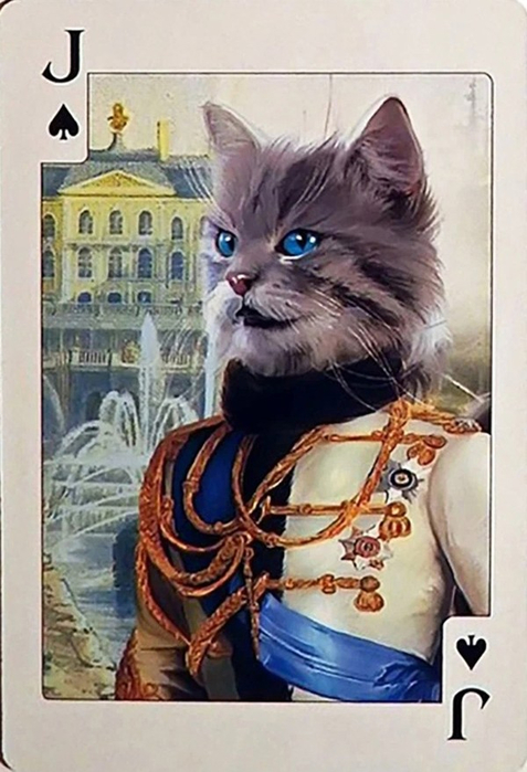 76886-35930-12 (477x700, 315Kb)