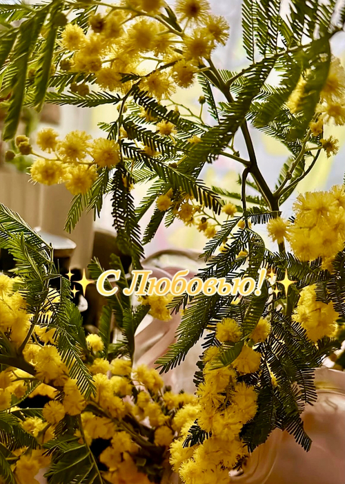 F1B65EF6-EEC5-44AA-91B8-830761B0D4AC (500x700, 579Kb)
