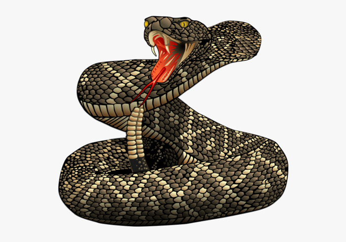 5-53790_free-to-use-public-domain-snakes-clip-art (700x490, 320Kb)