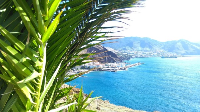 landscape-sea-city-bay-grass-beach-coast-palm-trees-island-Caribbean-madeira-Portugal-tree-mountain-tropics-4208x2368-px-arecales-palm-family-693720 (700x393, 97Kb)