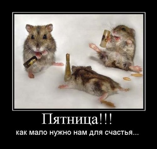 4743317_1254919423_040 (500x477, 30Kb)