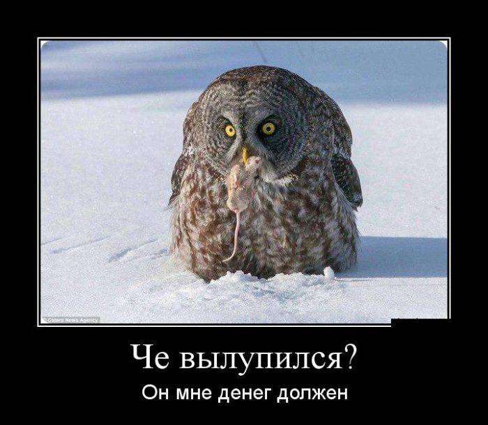 4743317_1442265195_10 (700x611, 50Kb)