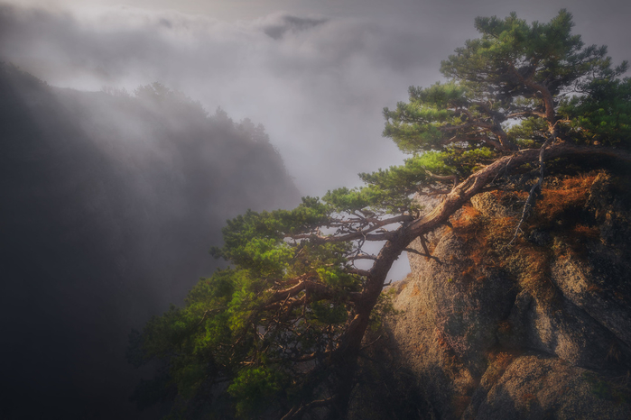 1 (700x466, 292Kb)