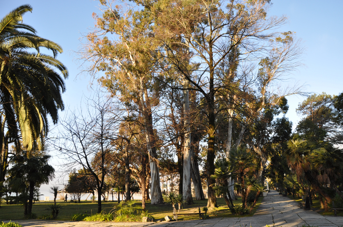 DSC_6722-001 (700x464, 576Kb)