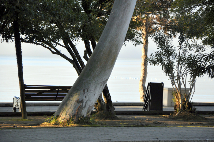 DSC_6735 (700x464, 478Kb)