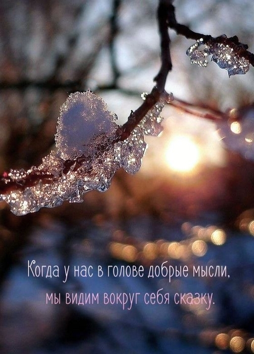 0d2867b8877d2f5f5adbf0a890934658 (503x700, 236Kb)