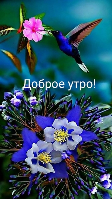 4743317_image20190604 (393x700, 213Kb)