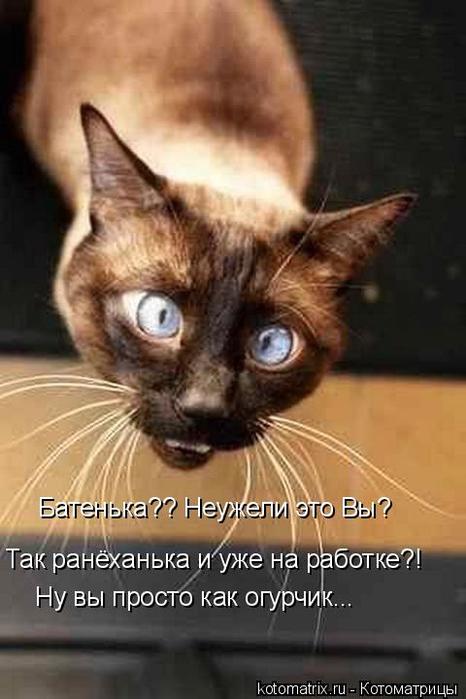 4743317_OZ (466x700, 43Kb)