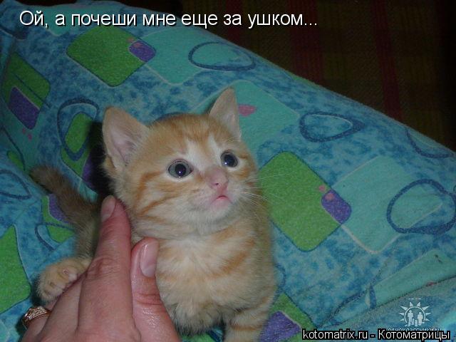 4743317_x (640x480, 46Kb)