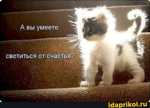 4743317_f09e7ba7 (495x355, 55Kb)