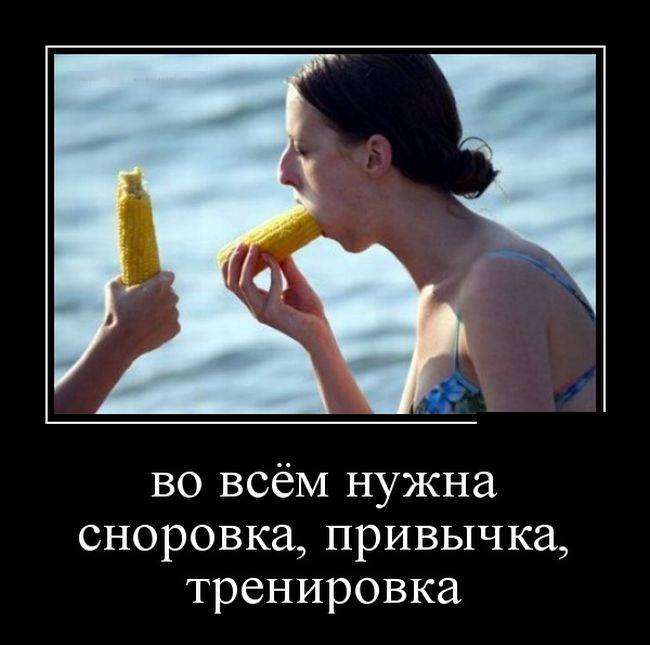 4743317_1442265219_08 (650x645, 38Kb)