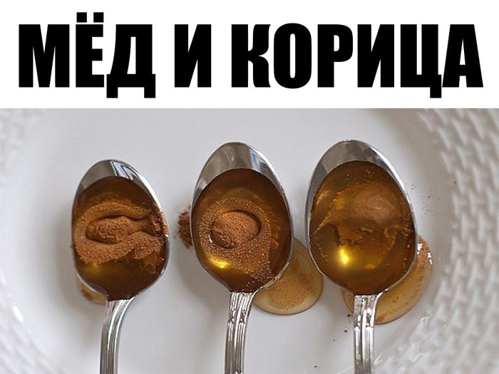 2835299_myod_i_korica (700x525, 68Kb)