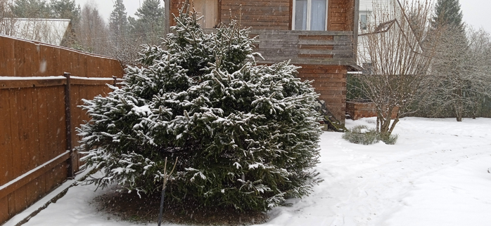 1740949880126 (700x322, 270Kb)