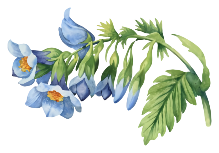 a3fb4186b3d6a751170446ef1a7feb16 (700x490, 271Kb)