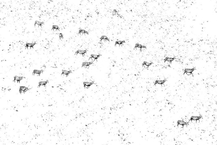 4702950_zagruzka_28_1742388171 (700x466, 96Kb)