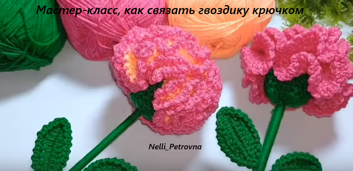 4906393_gvozdika (699x340, 396Kb)